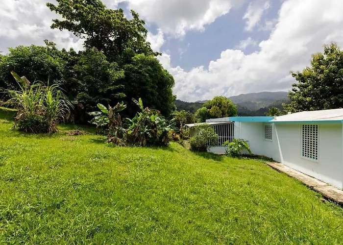 Huge Porch House In Rainforest 15 Min From Beach