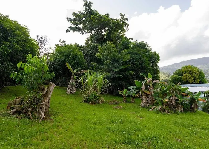 Huge Porch House In Rainforest 15 Min From Beach